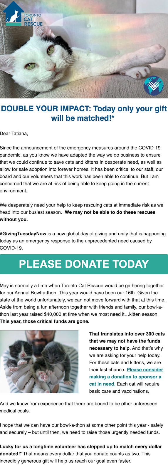 Toronto Cat Rescue 