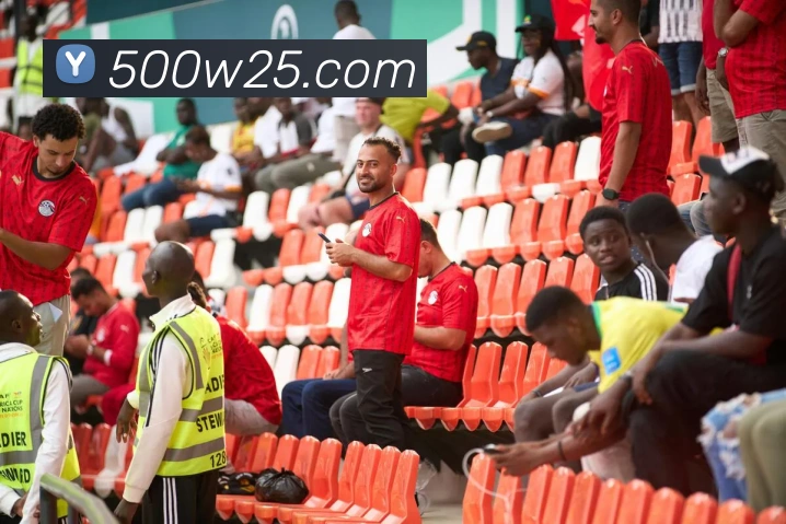 多媒体互动体验